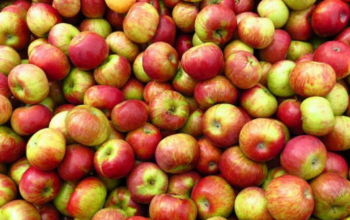 Україна отримала негативне сальдо торгівлі яблуками