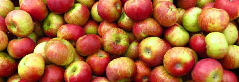 Україна отримала негативне сальдо торгівлі яблуками