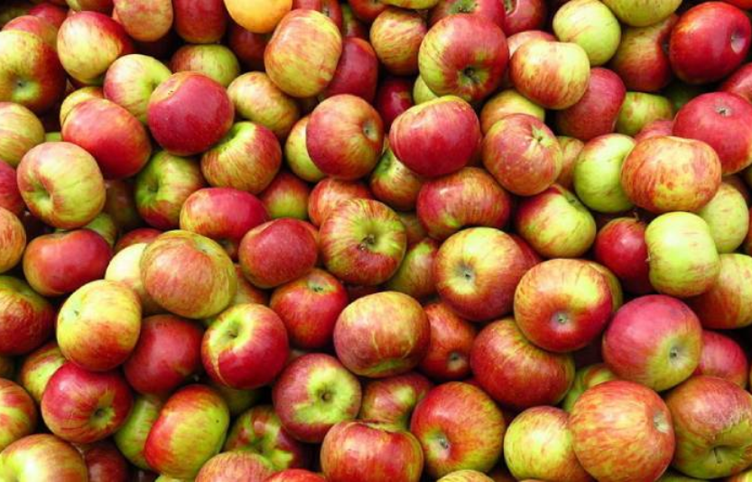 Україна отримала негативне сальдо торгівлі яблуками