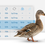 Які режими інкубації качиних яєць