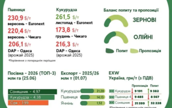 Озвучено оновлені ціни на зернові та кукурудзу в Україні